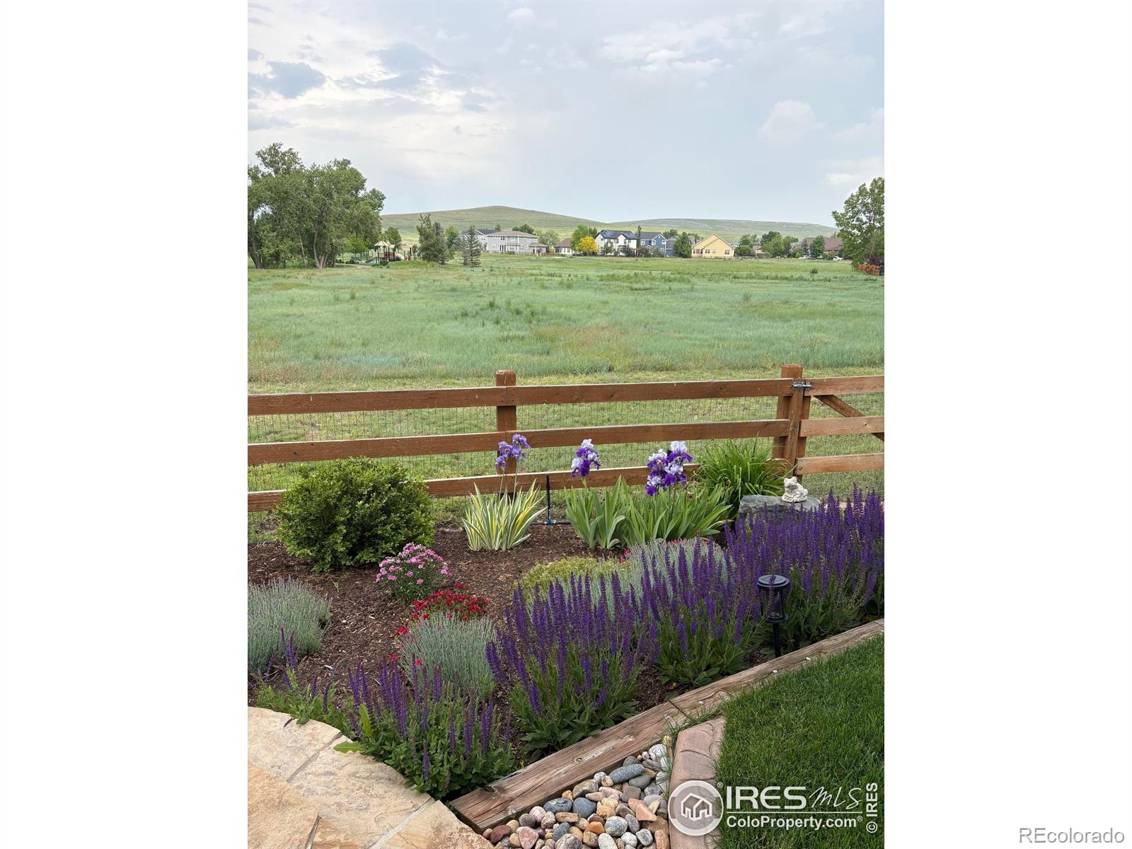 MLS Image #47 for 1033  zodo avenue,erie, Colorado