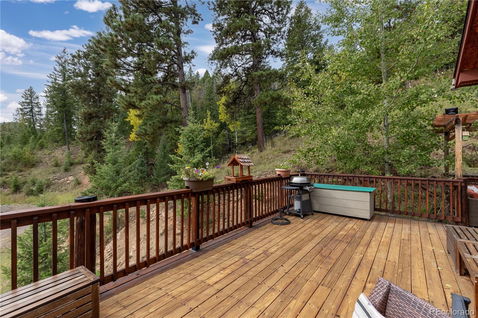 MLS Image #11 for 32209  blue springs drive,evergreen, Colorado
