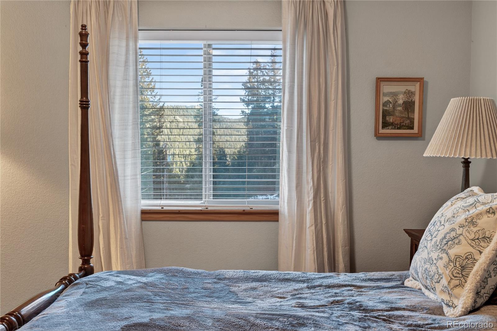 MLS Image #28 for 32209  blue springs drive,evergreen, Colorado