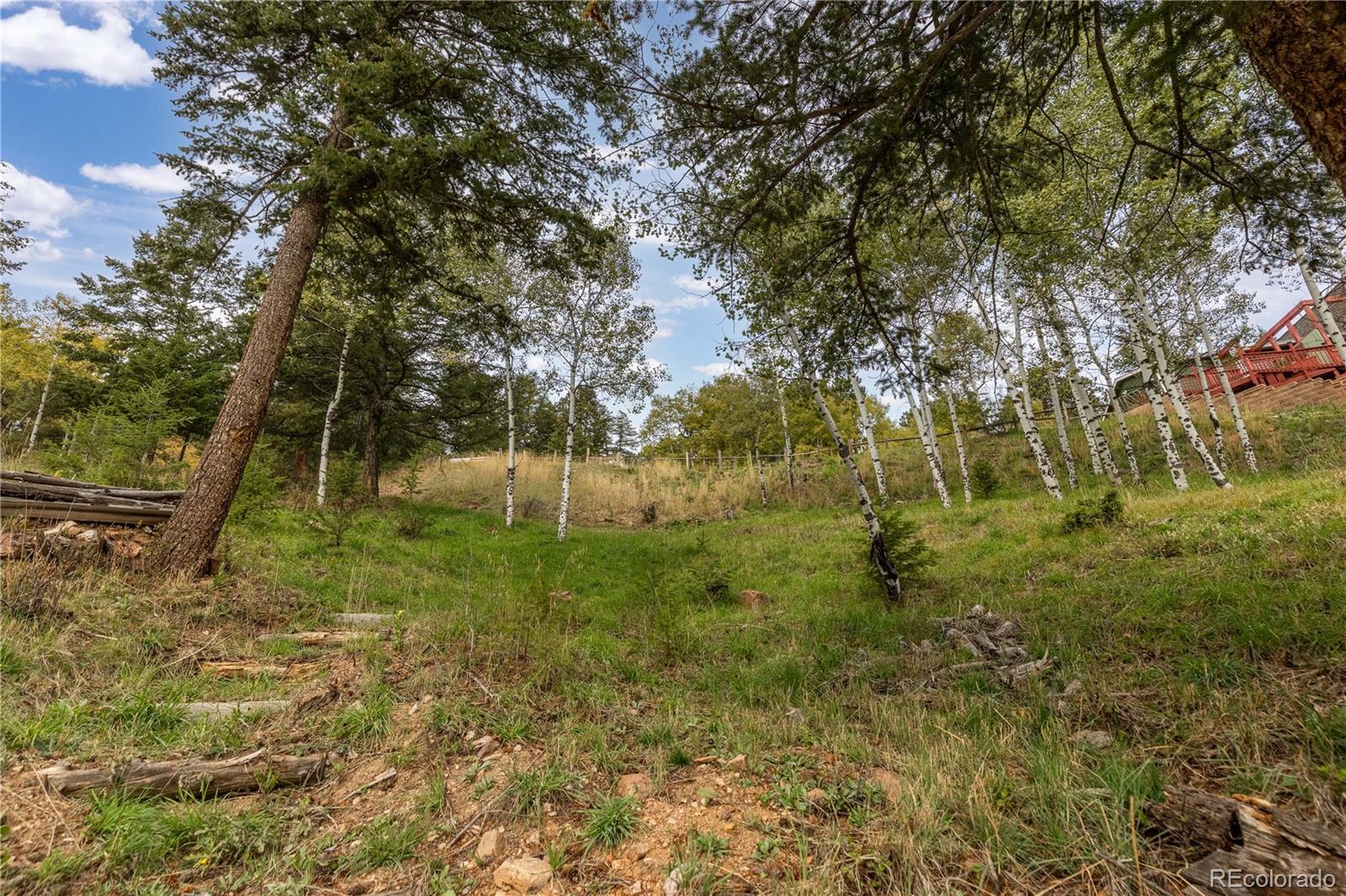 MLS Image #43 for 32209  blue springs drive,evergreen, Colorado