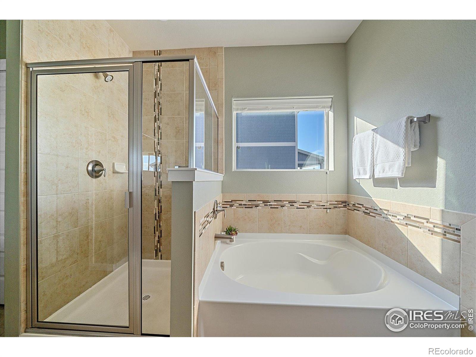 MLS Image #11 for 2321  nicholson street,berthoud, Colorado