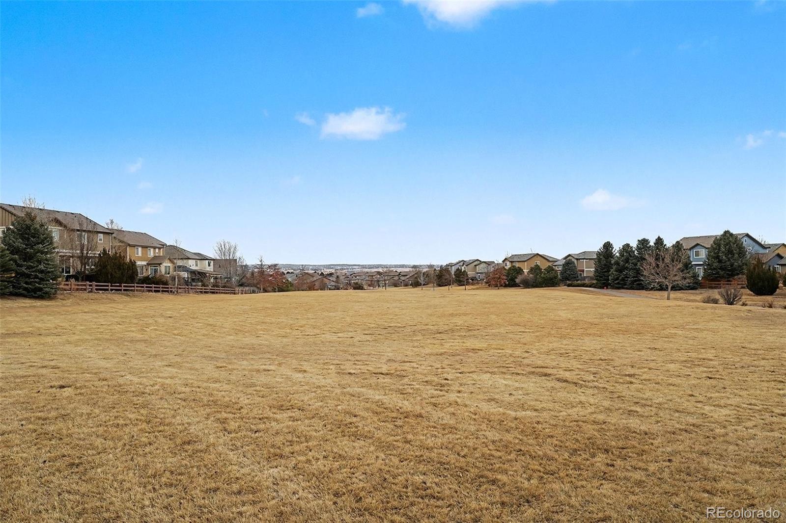MLS Image #30 for 16787 e black horn drive,parker, Colorado