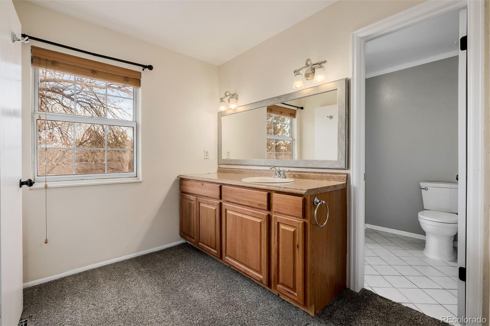 MLS Image #25 for 6953 s dahlia street,centennial, Colorado