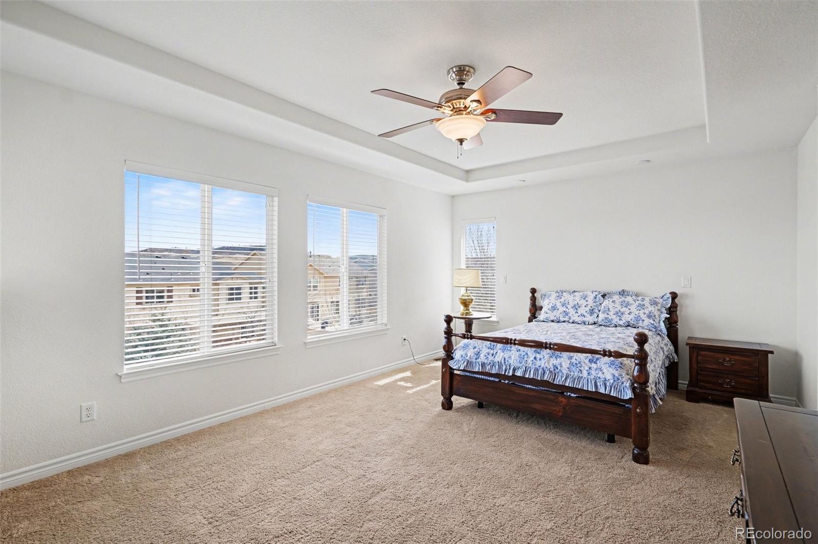 MLS Image #11 for 10844  huntwick street,highlands ranch, Colorado