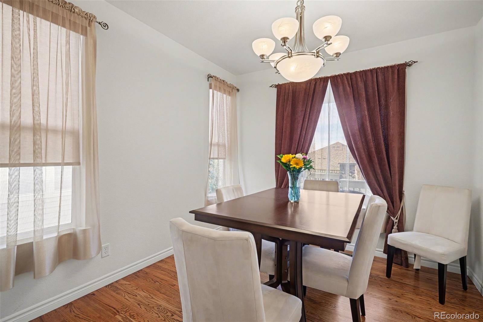 MLS Image #23 for 10844  huntwick street,highlands ranch, Colorado