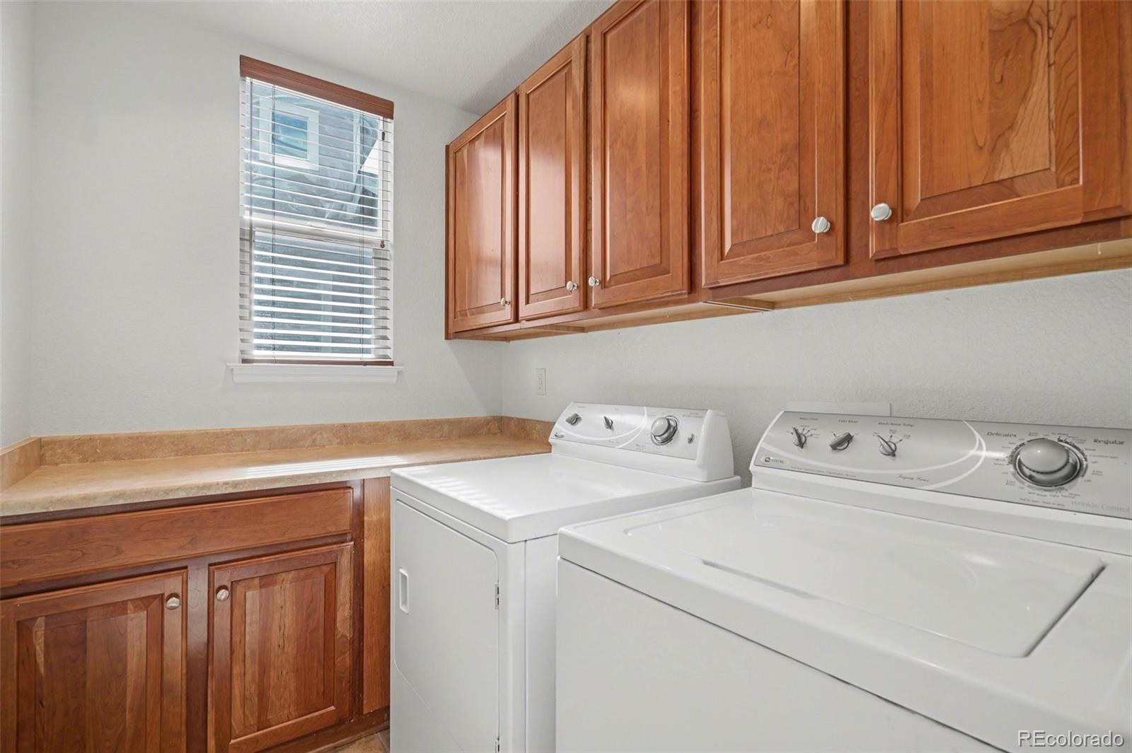 MLS Image #27 for 10844  huntwick street,highlands ranch, Colorado