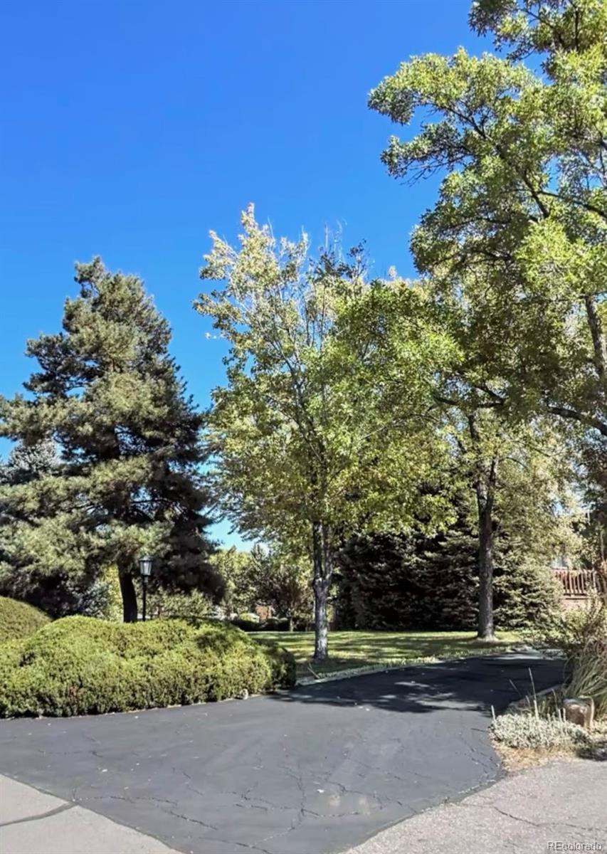 MLS Image #13 for 2292  quail drive,lakewood, Colorado