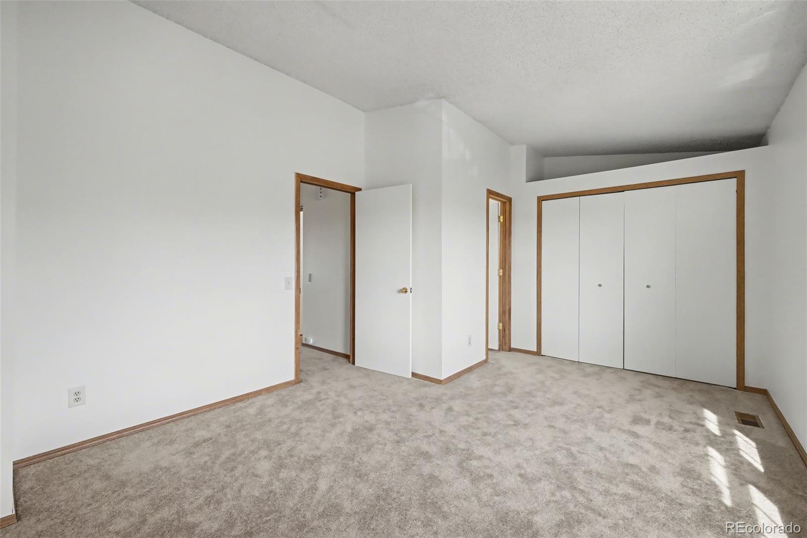 MLS Image #18 for 3906  smoke tree drive ,colorado springs, Colorado