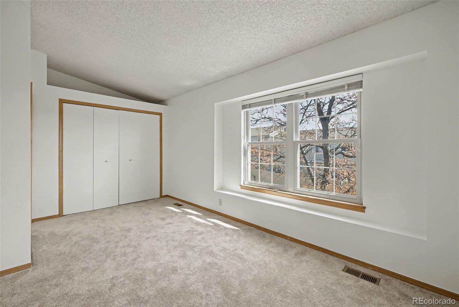 MLS Image #19 for 3906  smoke tree drive ,colorado springs, Colorado