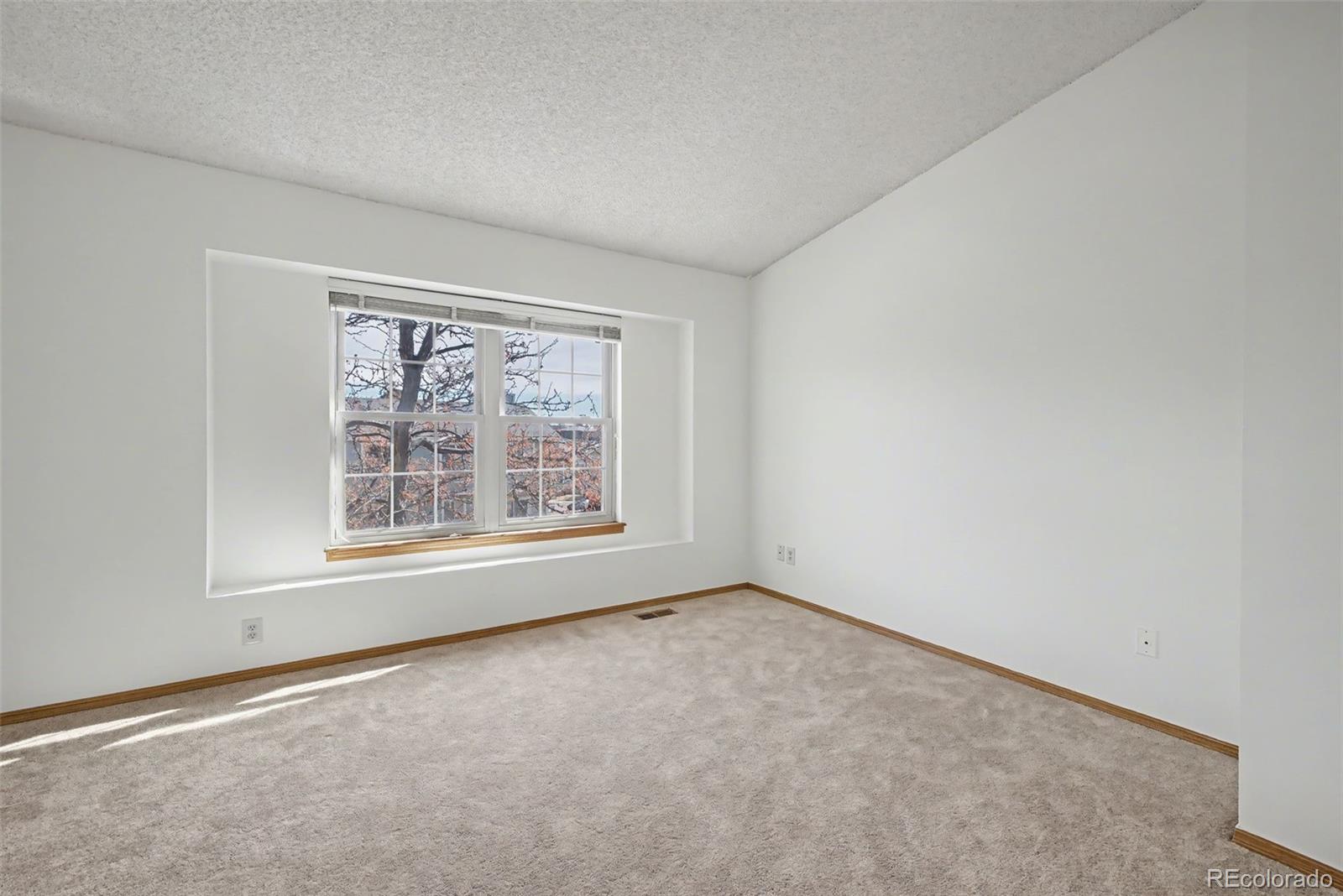 MLS Image #23 for 3906  smoke tree drive ,colorado springs, Colorado