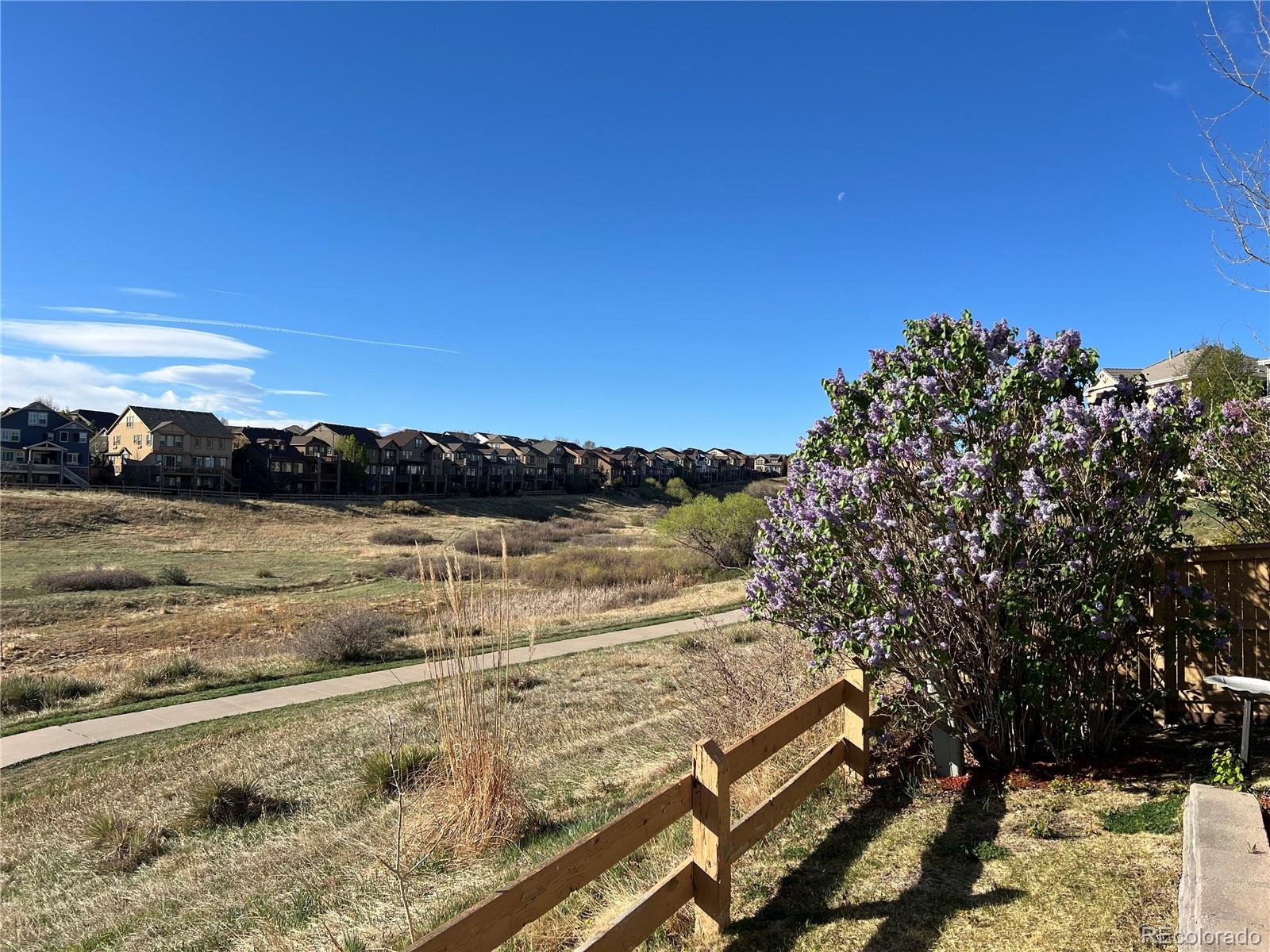 MLS Image #11 for 10709  briarglen circle,highlands ranch, Colorado