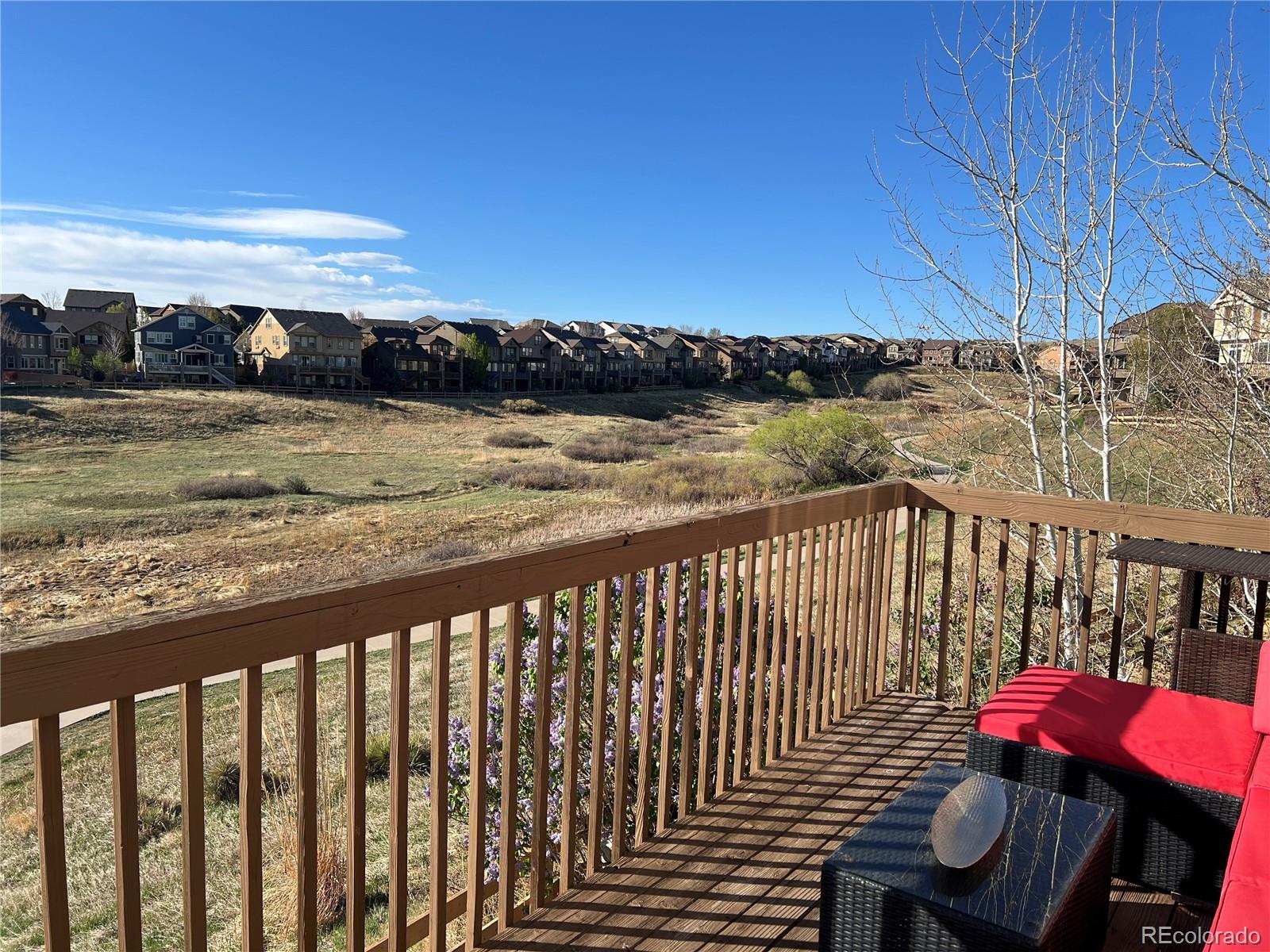 MLS Image #8 for 10709  briarglen circle,highlands ranch, Colorado