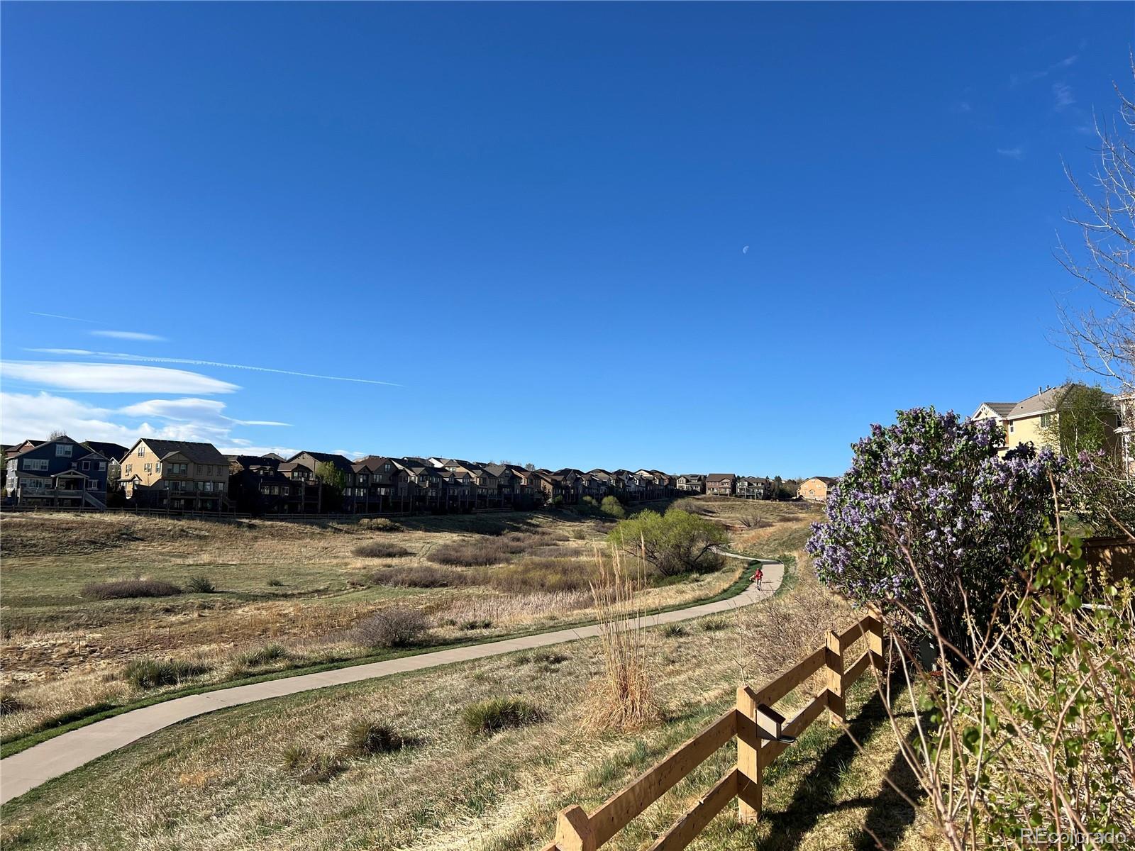MLS Image #9 for 10709  briarglen circle,highlands ranch, Colorado