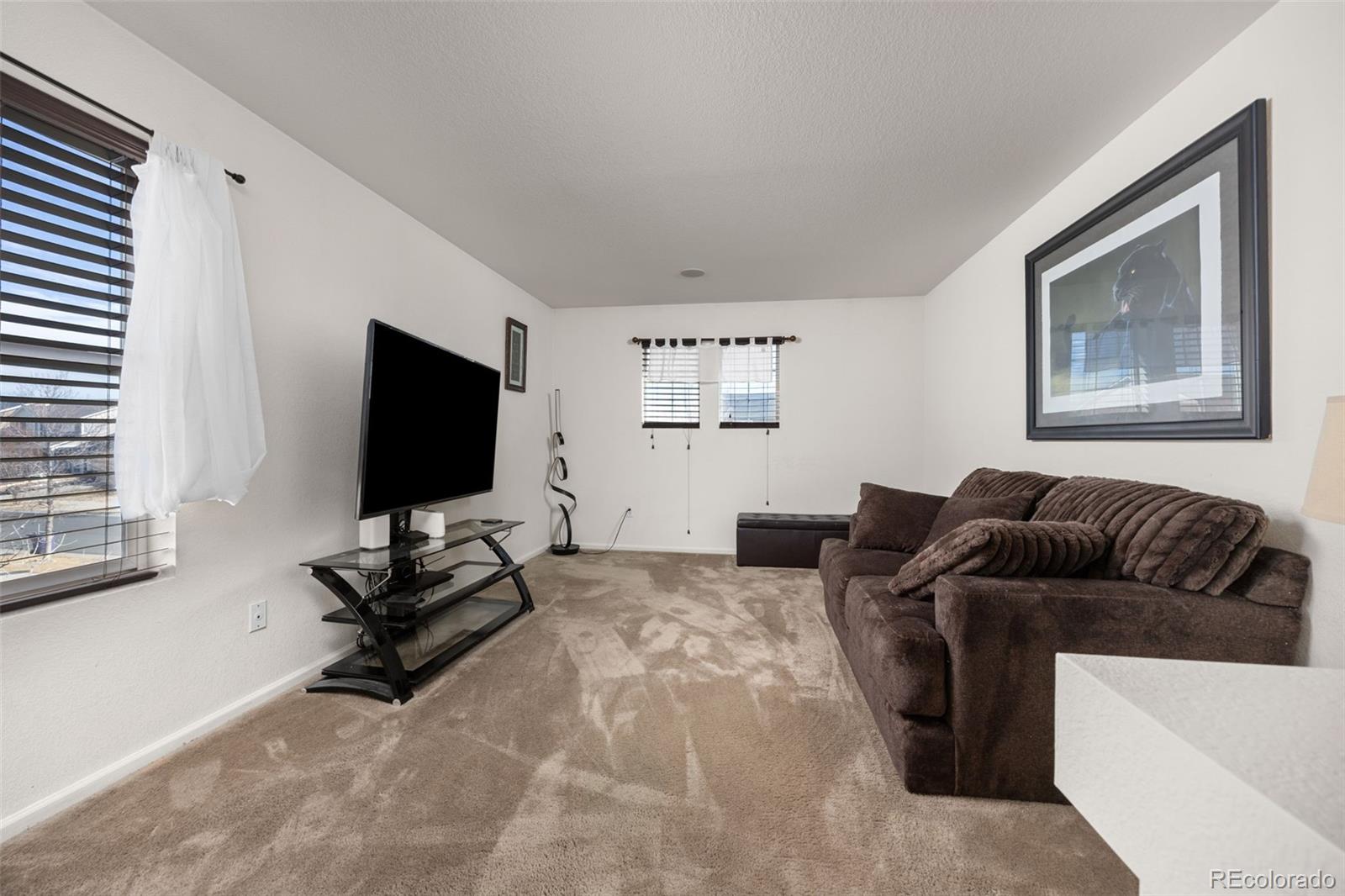 MLS Image #15 for 5541  killarney court,denver, Colorado