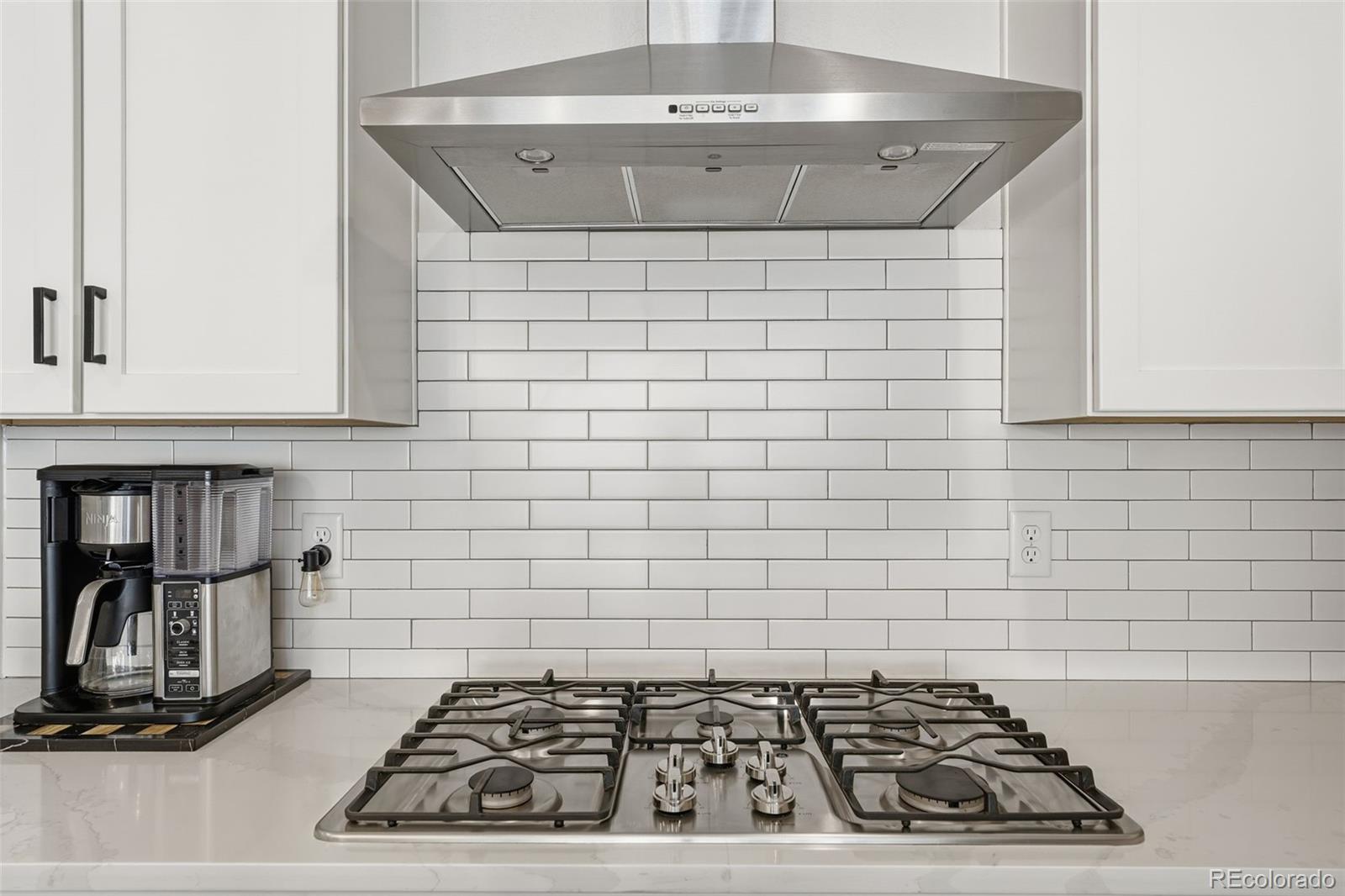 MLS Image #10 for 865  oleander street,castle rock, Colorado