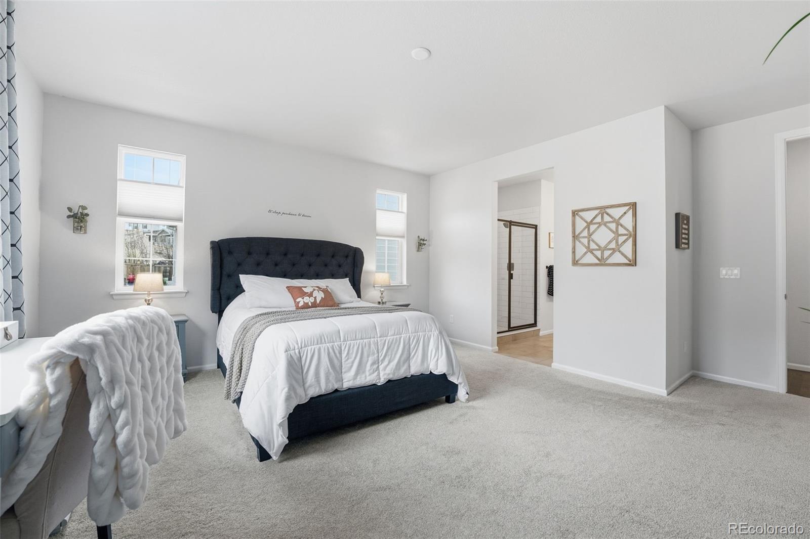 MLS Image #3 for 865  oleander street,castle rock, Colorado