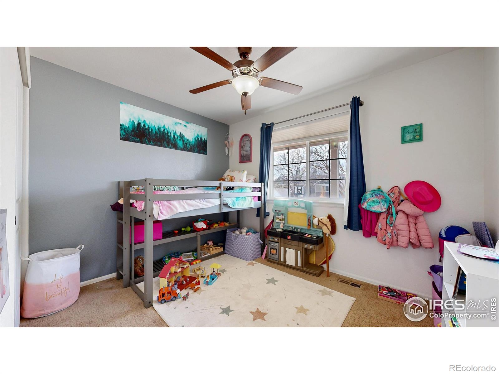 MLS Image #22 for 7078  loudon street,wellington, Colorado
