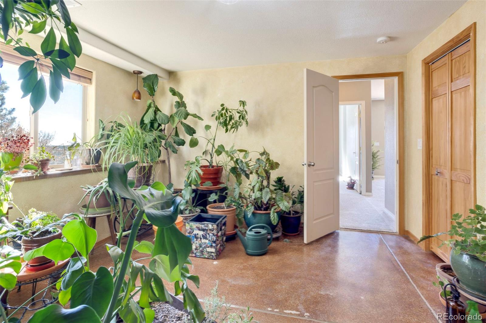 MLS Image #43 for 126  star view circle,palmer lake, Colorado