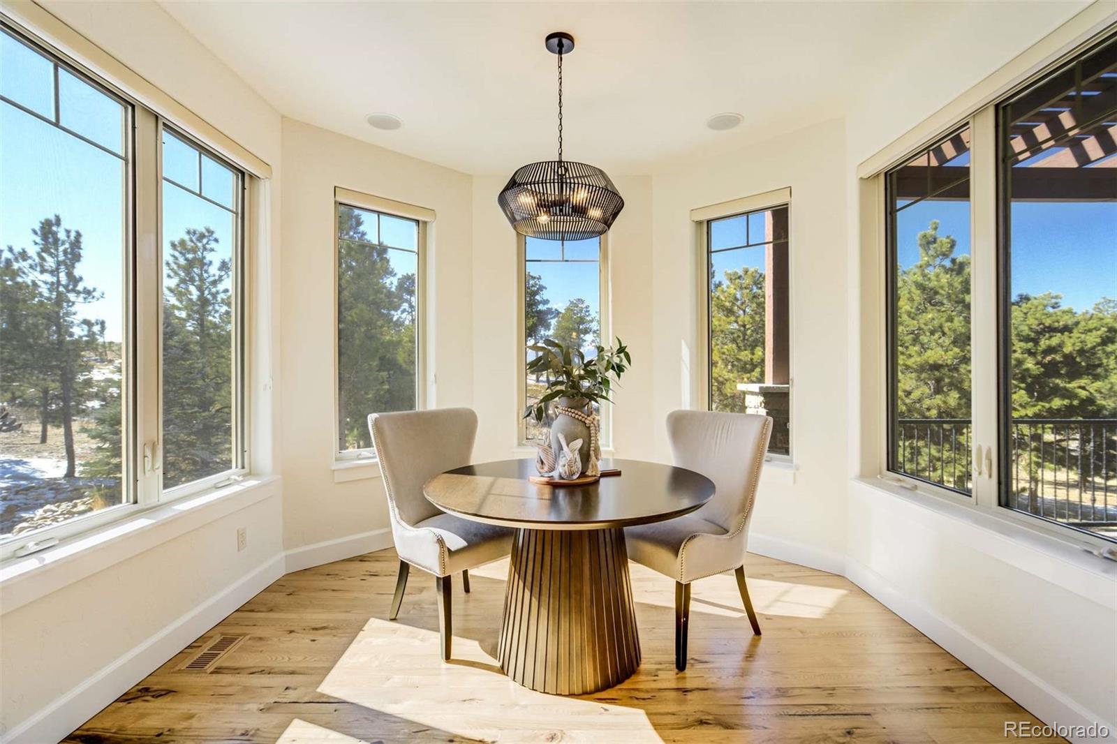 MLS Image #15 for 5085  saxton hollow road,colorado springs, Colorado
