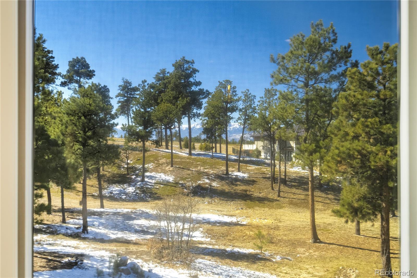 MLS Image #16 for 5085  saxton hollow road,colorado springs, Colorado