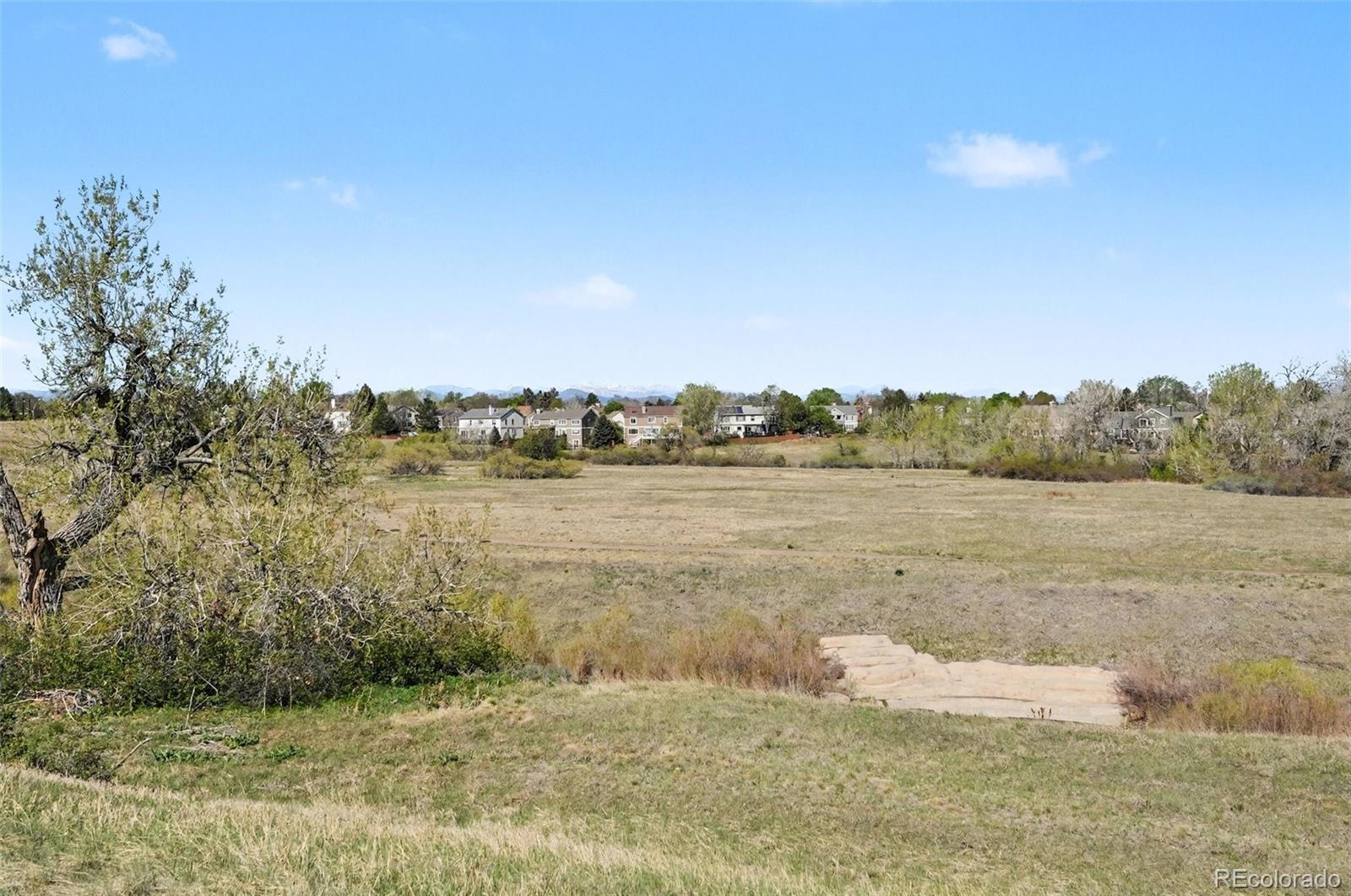 MLS Image #11 for 9453  crossland way,highlands ranch, Colorado