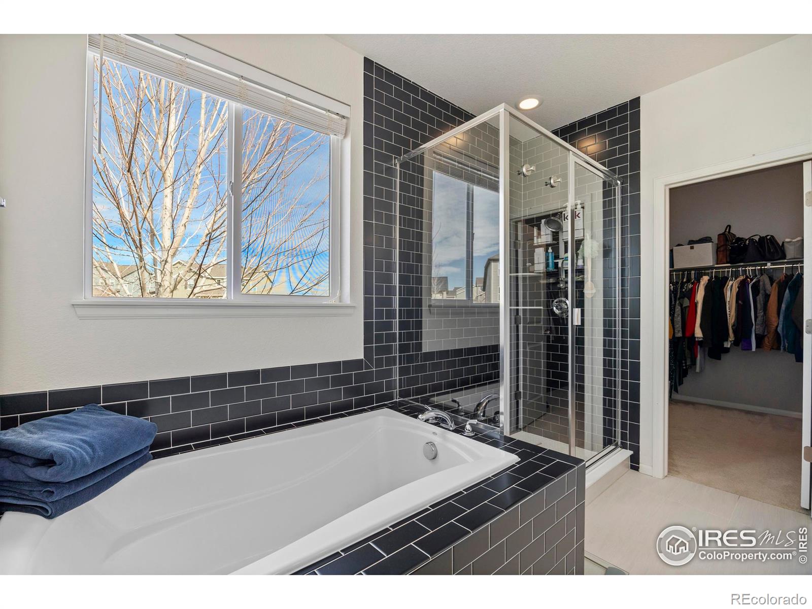 MLS Image #17 for 5219  odessa lake street,timnath, Colorado