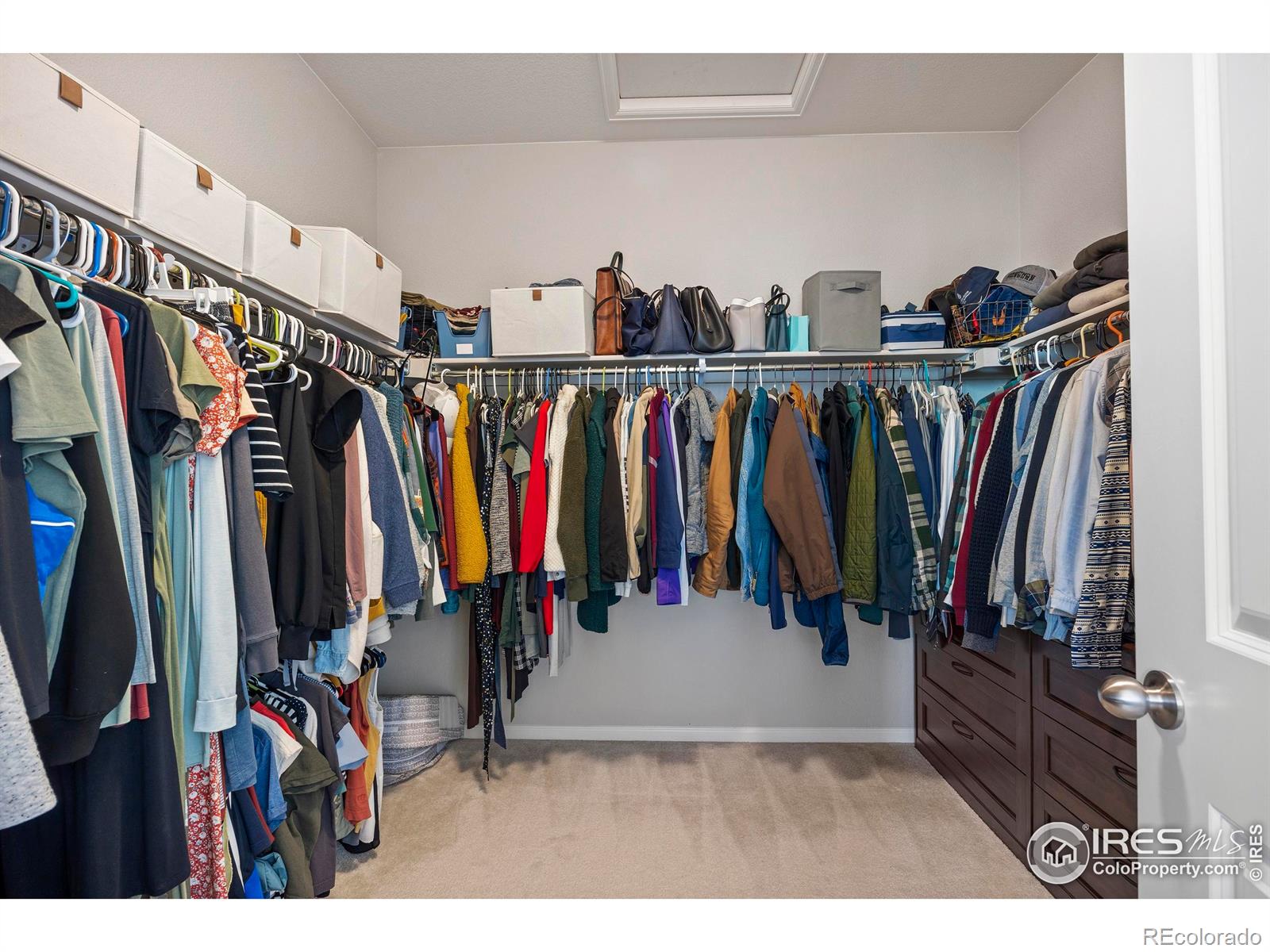 MLS Image #18 for 5219  odessa lake street,timnath, Colorado