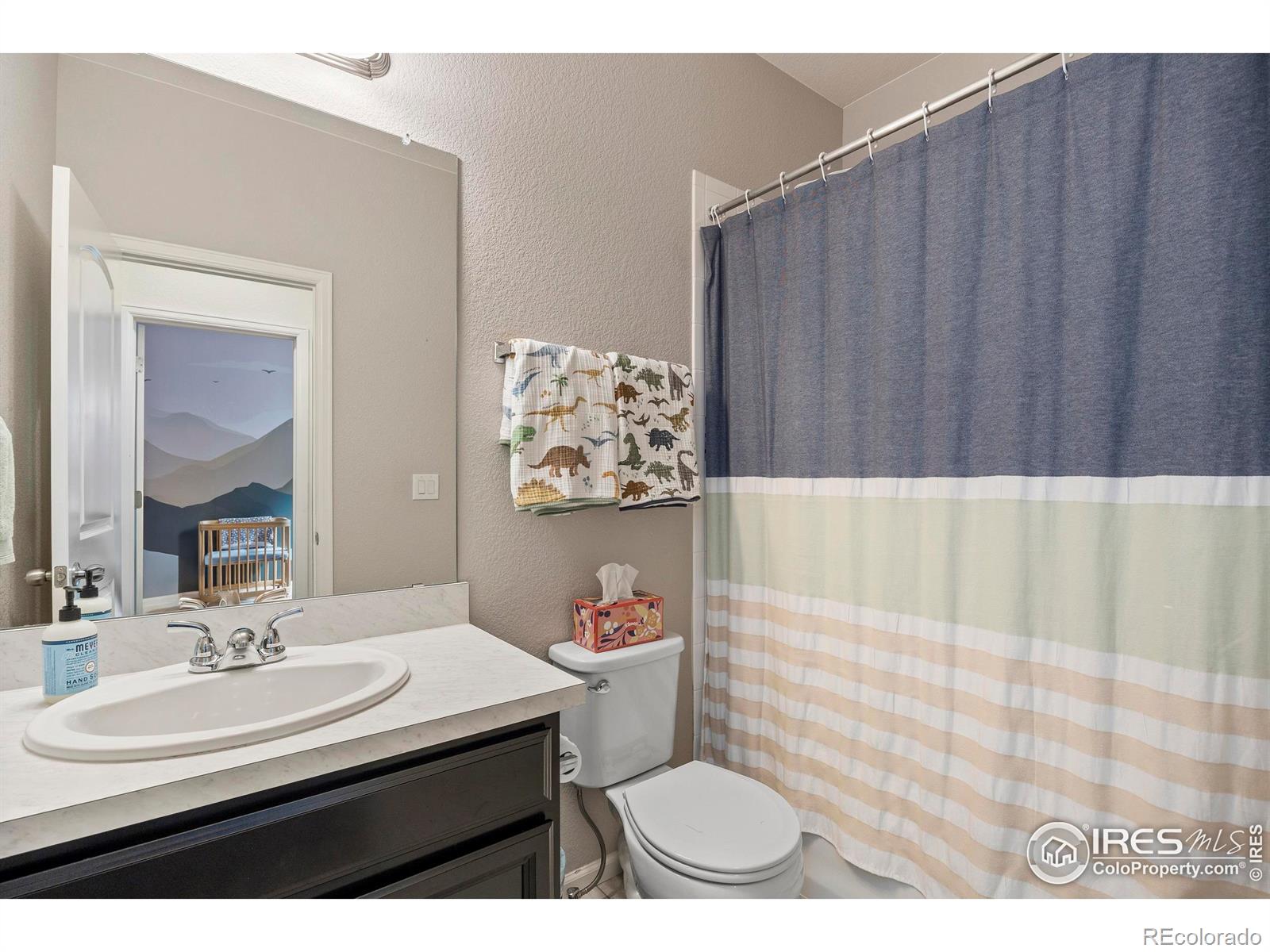 MLS Image #20 for 5219  odessa lake street,timnath, Colorado