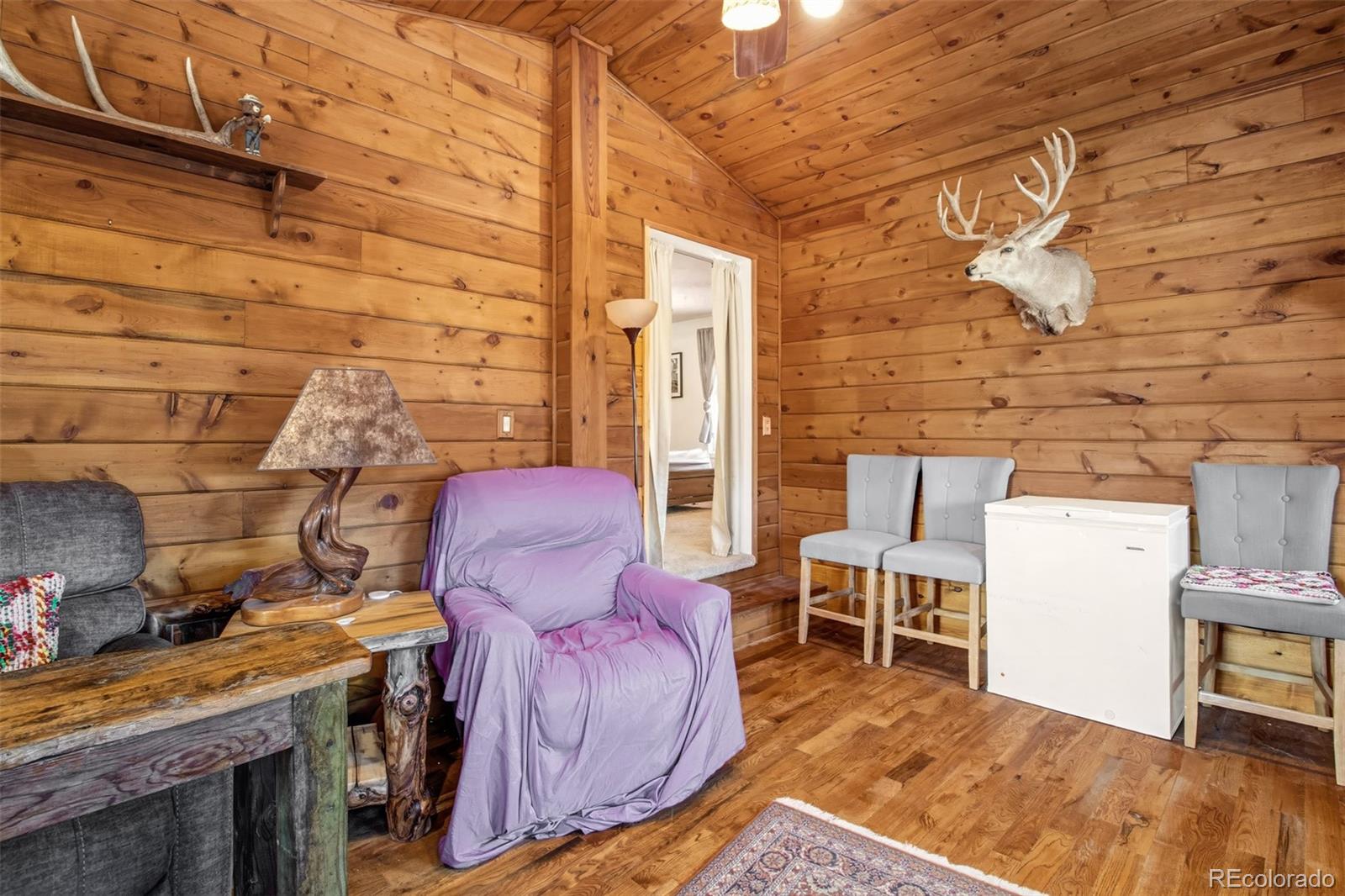 MLS Image #18 for 54  georges lane,woodland park, Colorado