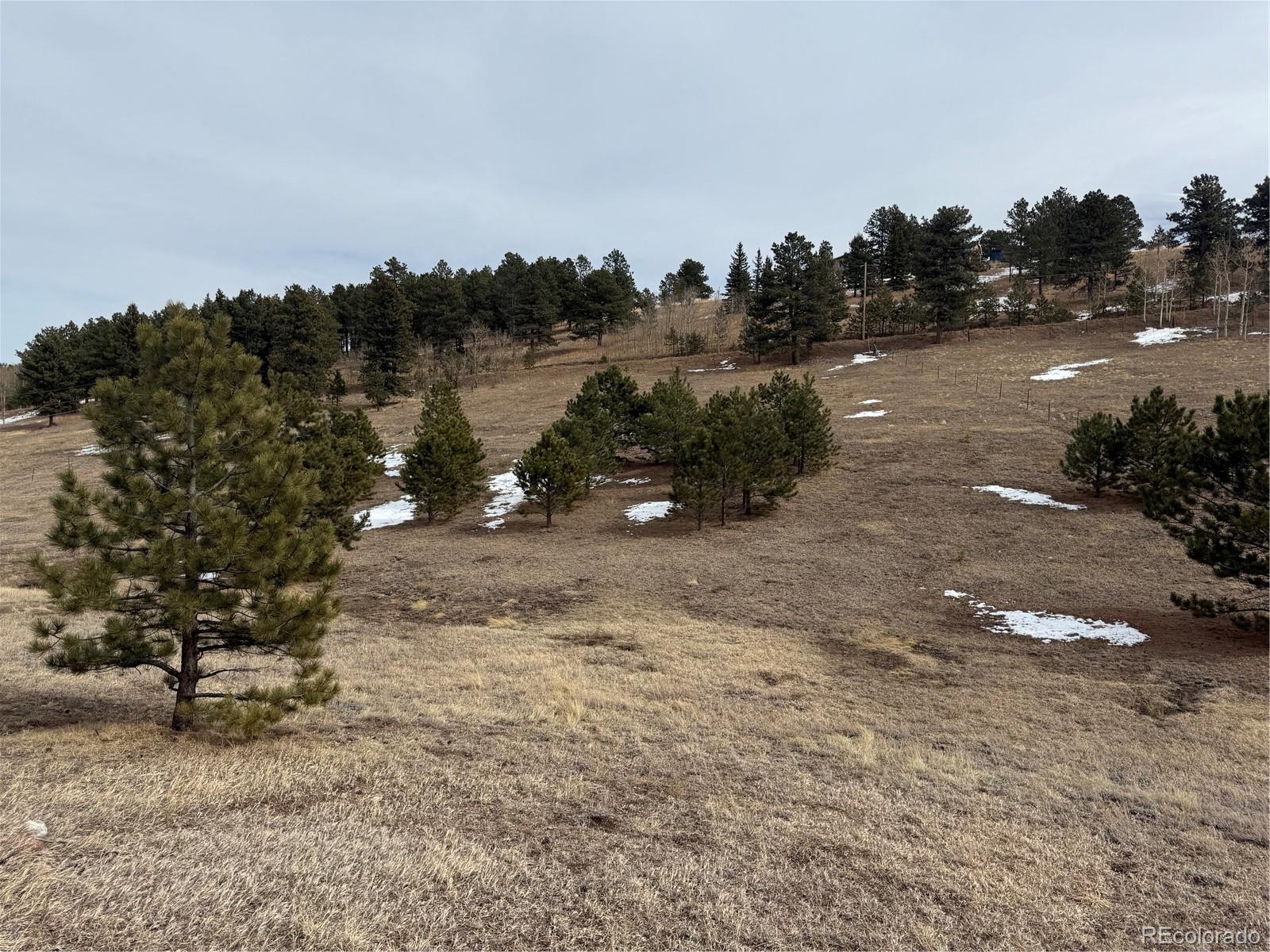 MLS Image #34 for 54  georges lane,woodland park, Colorado