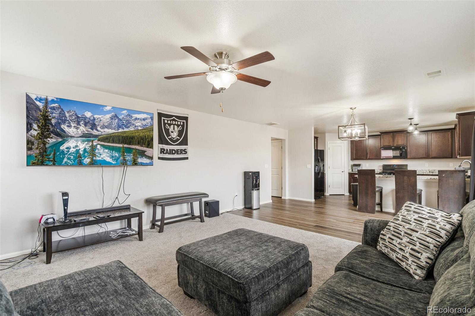 MLS Image #13 for 231  mesa avenue,lochbuie, Colorado
