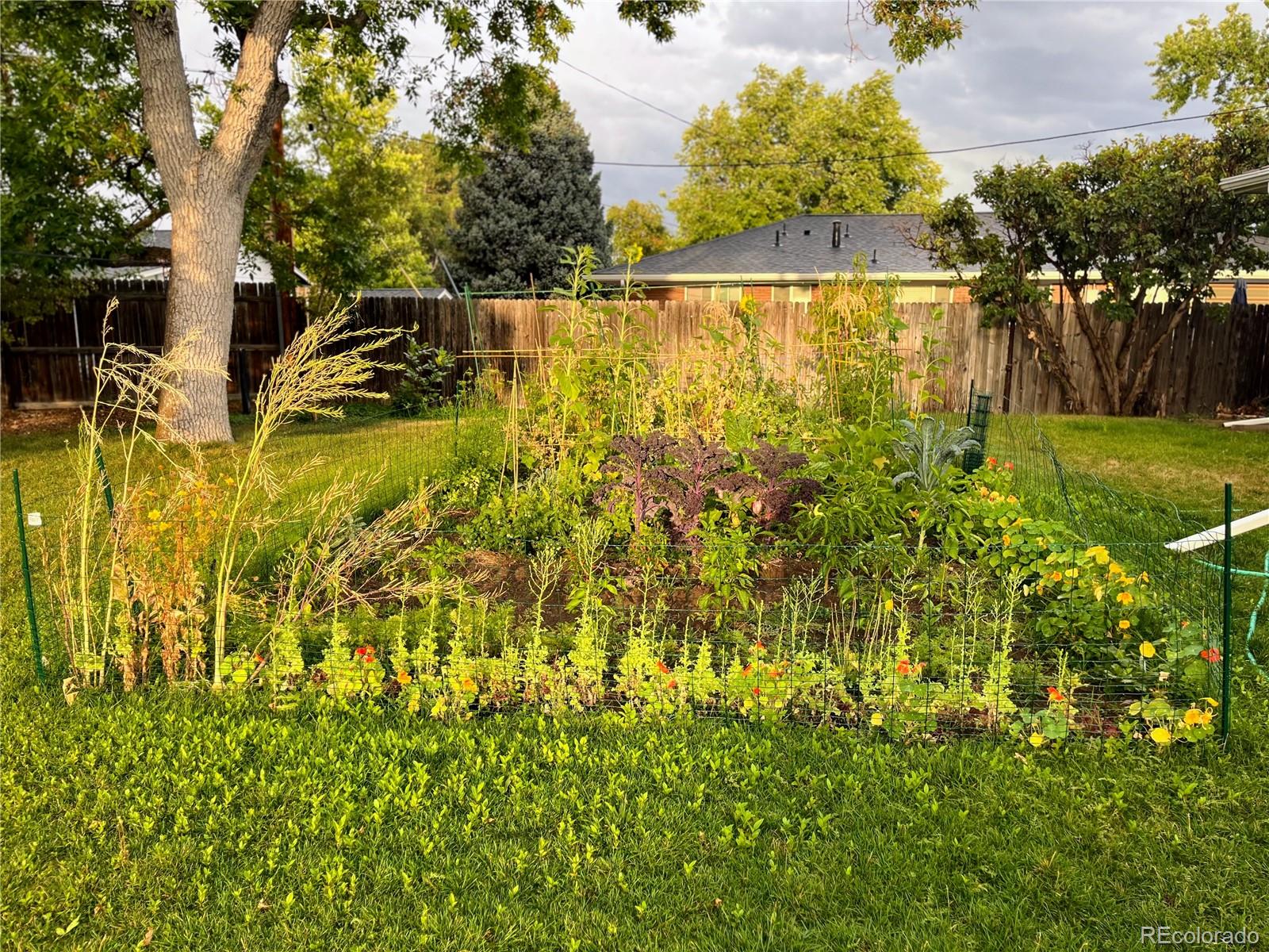 MLS Image #37 for 12241 w new mexico avenue,lakewood, Colorado