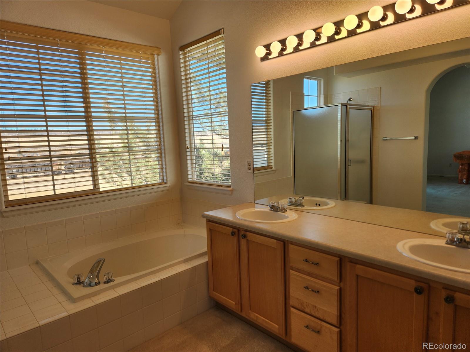 MLS Image #18 for 3343  compass circle,castle rock, Colorado