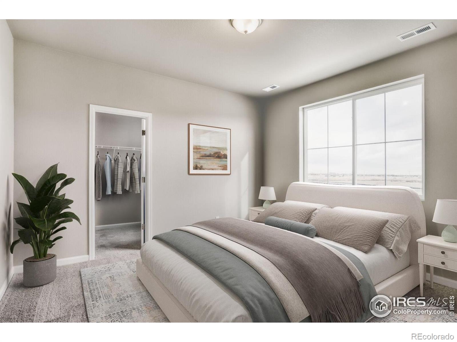 MLS Image #15 for 640  noola street,windsor, Colorado