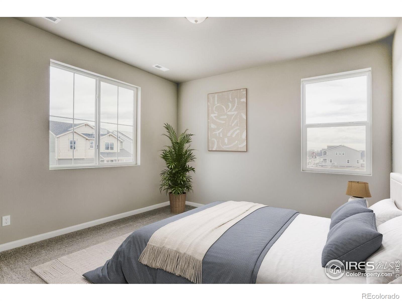 MLS Image #16 for 640  noola street,windsor, Colorado