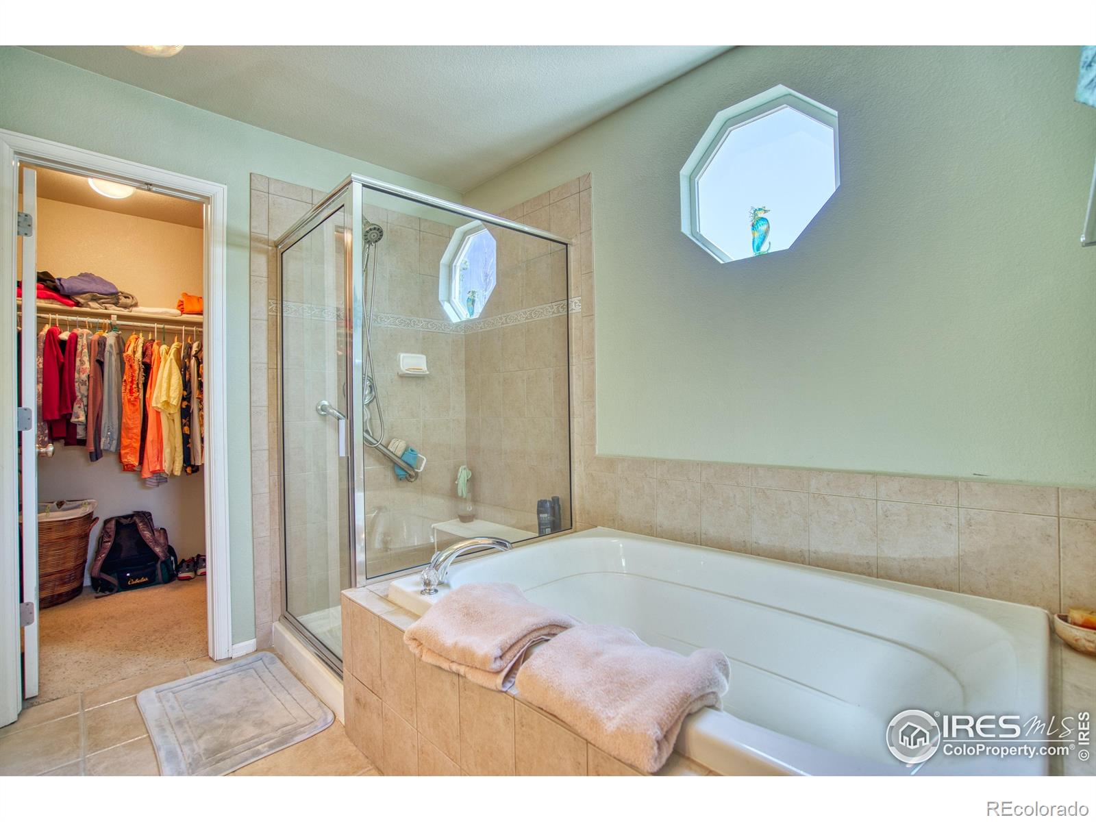 MLS Image #18 for 6727  thistle ridge avenue,firestone, Colorado