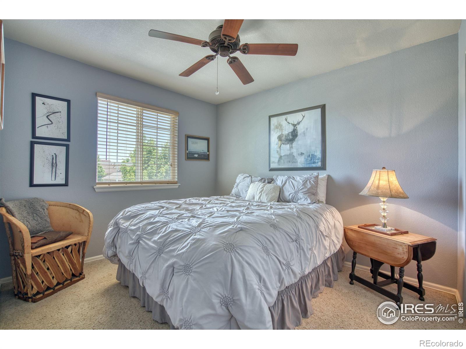 MLS Image #24 for 6727  thistle ridge avenue,firestone, Colorado
