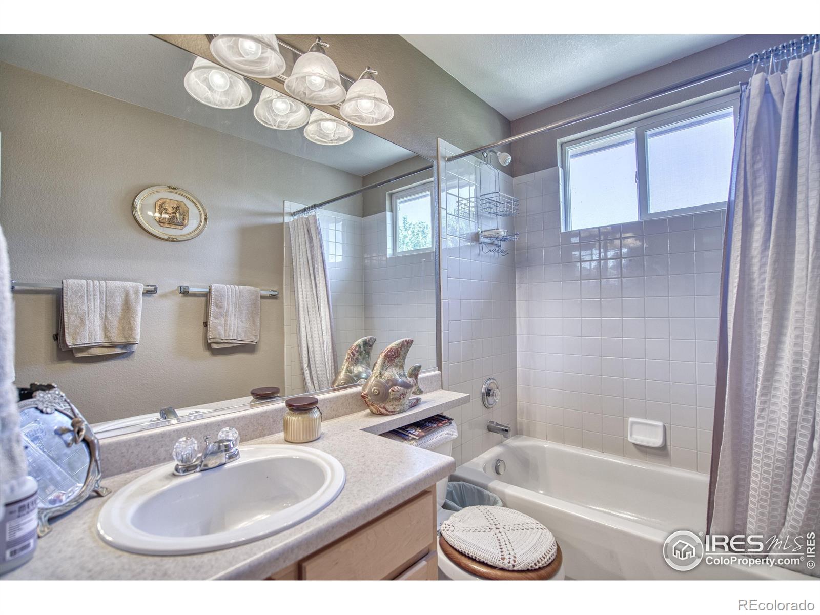 MLS Image #26 for 6727  thistle ridge avenue,firestone, Colorado