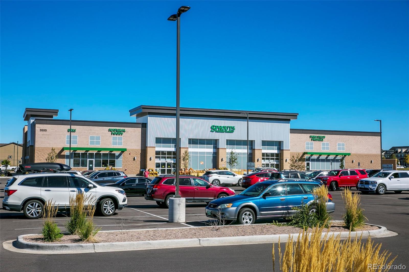 MLS Image #48 for 9192  martin luther king boulevard ,denver, Colorado