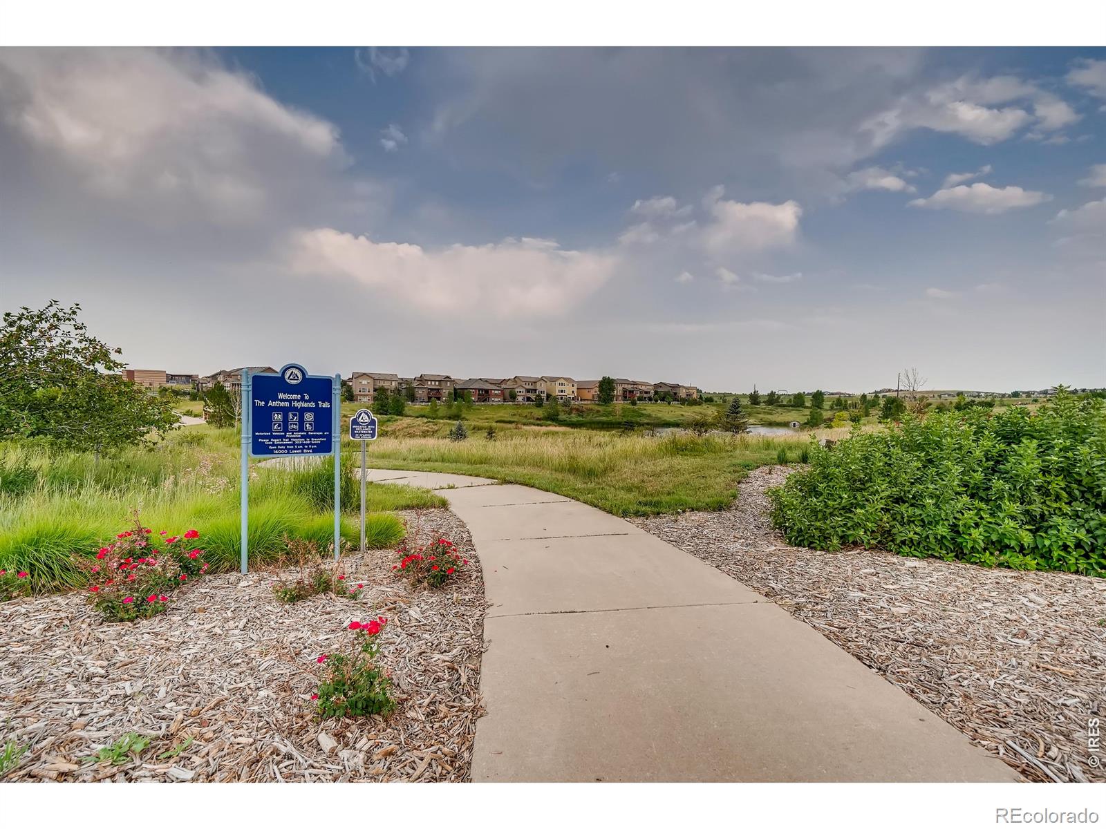 MLS Image #41 for 3716  yale drive,broomfield, Colorado
