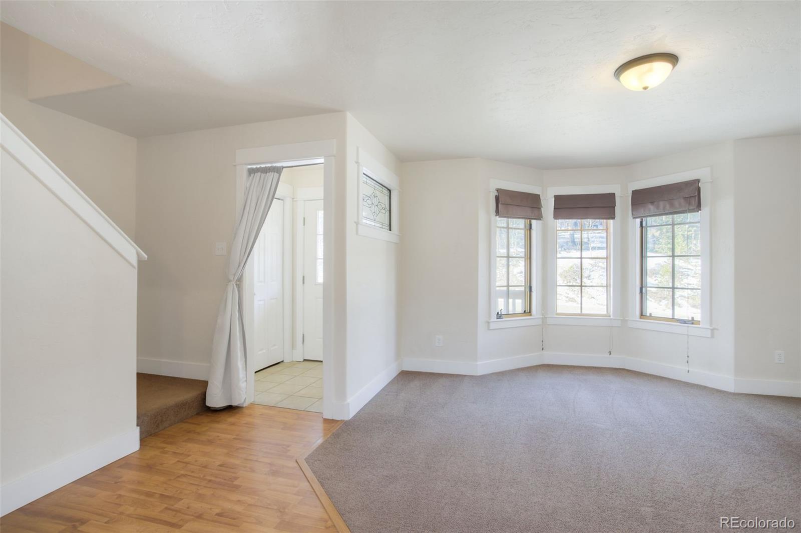 MLS Image #10 for 370 n oak street,alma, Colorado