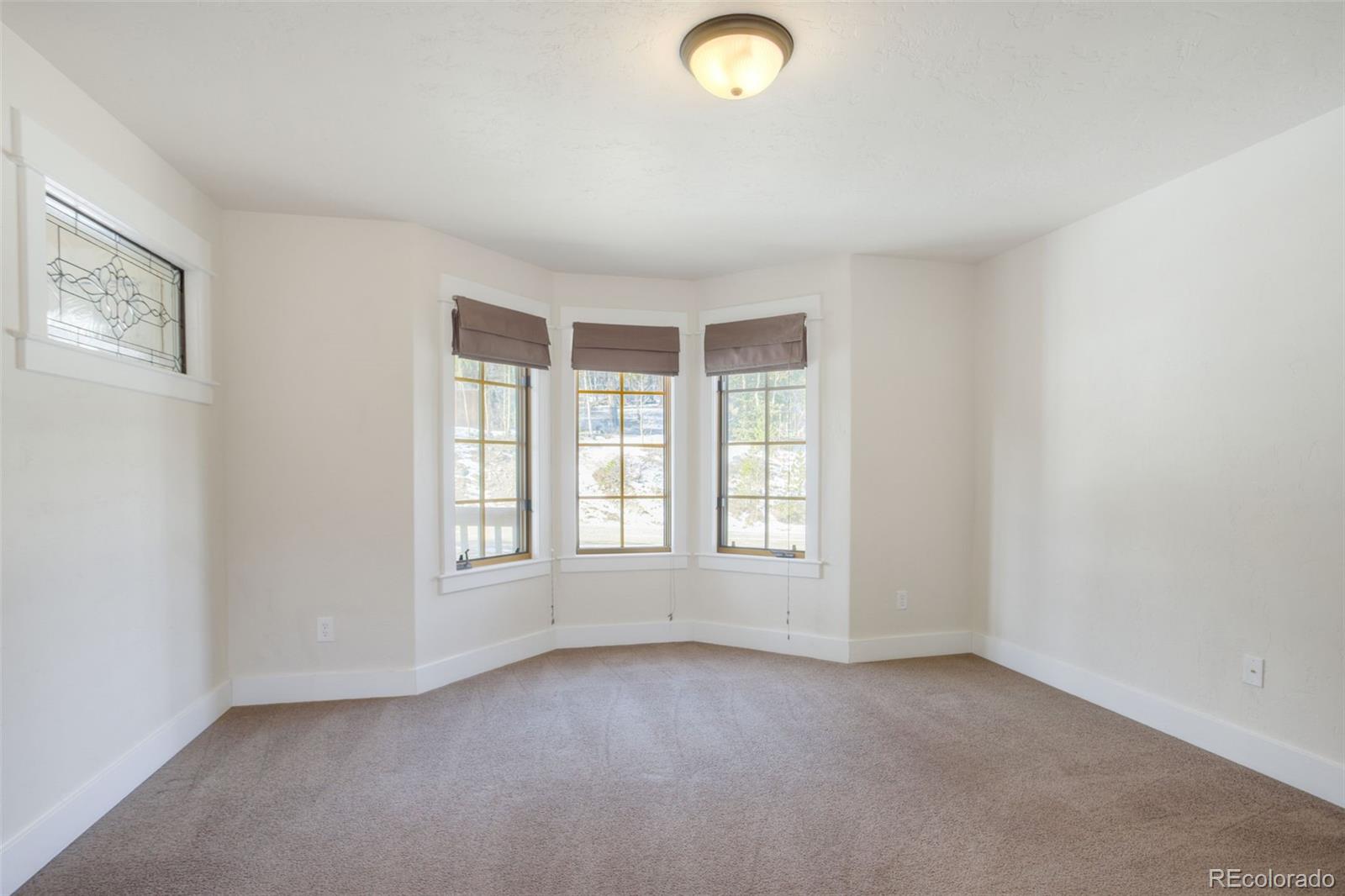 MLS Image #11 for 370 n oak street,alma, Colorado