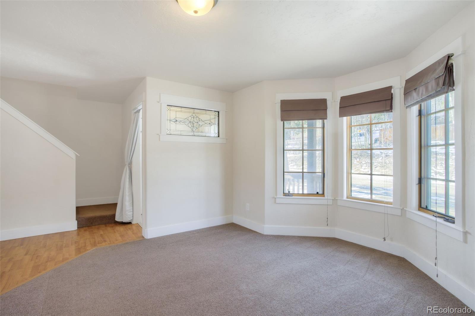 MLS Image #12 for 370 n oak street,alma, Colorado