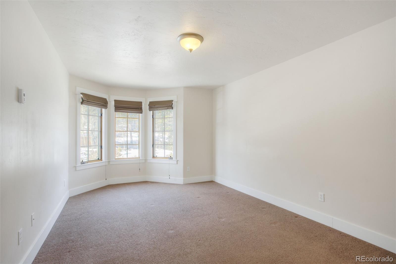 MLS Image #15 for 370 n oak street,alma, Colorado