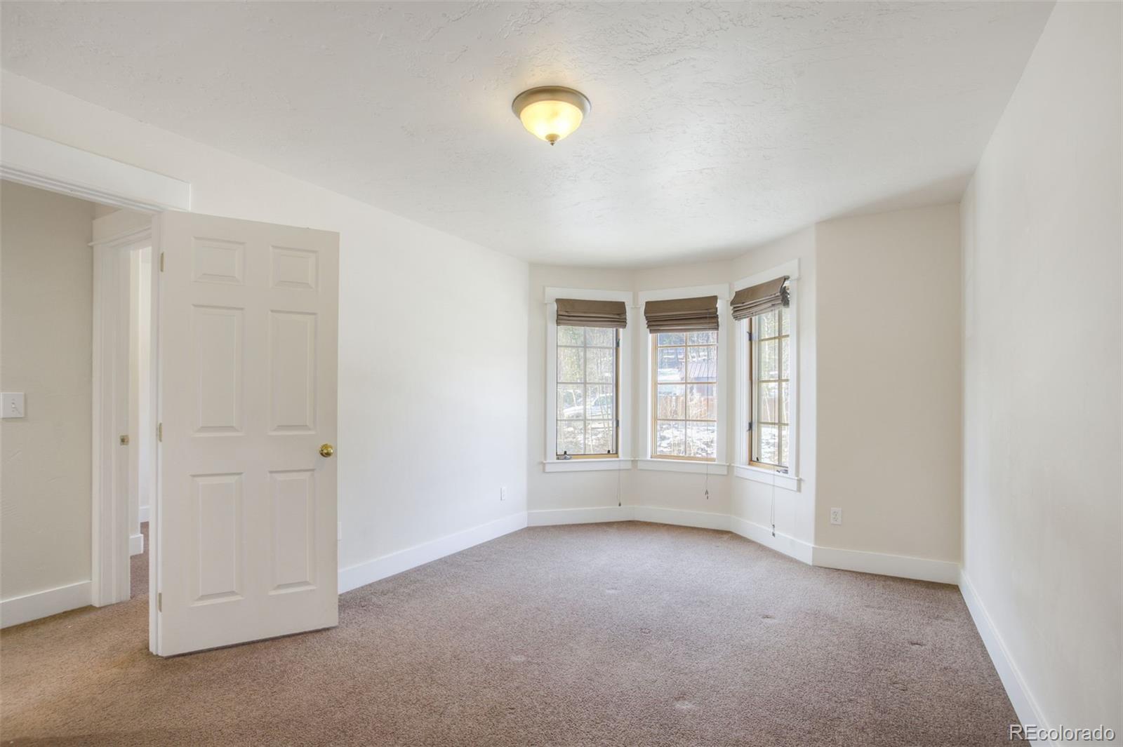 MLS Image #16 for 370 n oak street,alma, Colorado