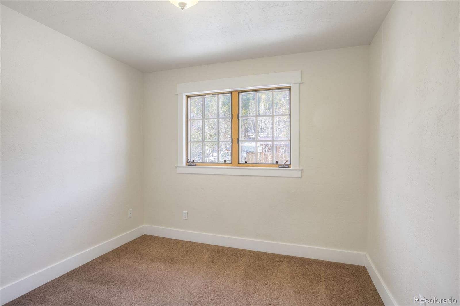 MLS Image #20 for 370 n oak street,alma, Colorado