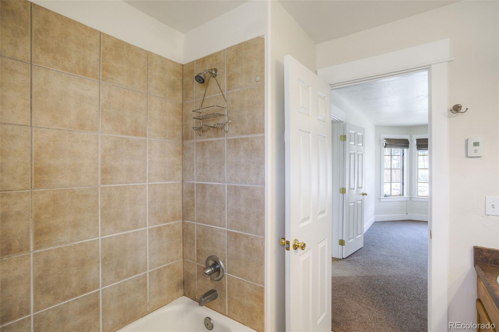 MLS Image #22 for 370 n oak street,alma, Colorado