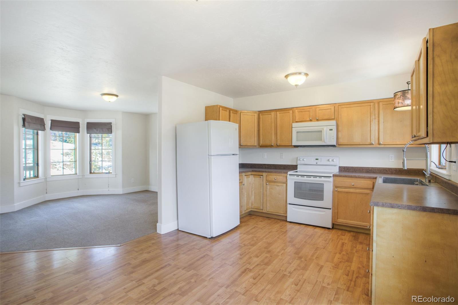 MLS Image #3 for 370 n oak street,alma, Colorado