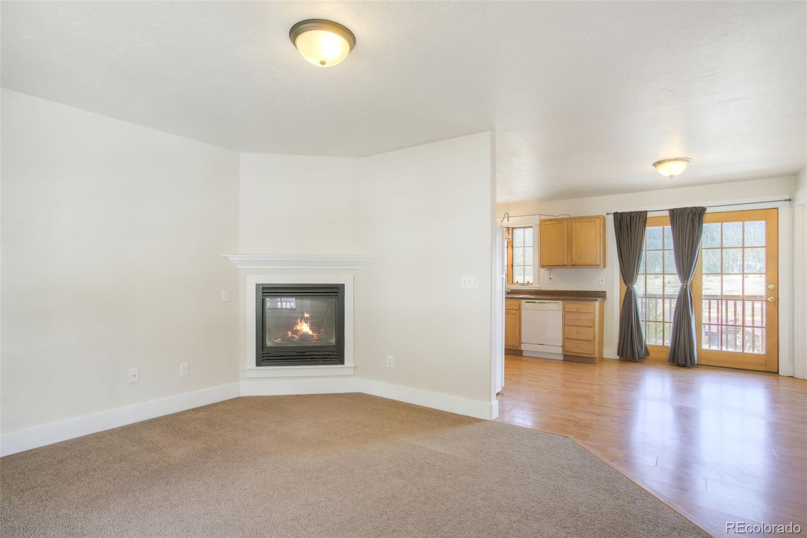 MLS Image #4 for 370 n oak street,alma, Colorado