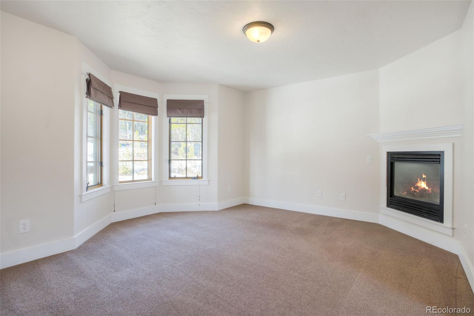 MLS Image #5 for 370 n oak street,alma, Colorado